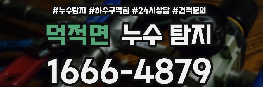덕적면 누수 탐지