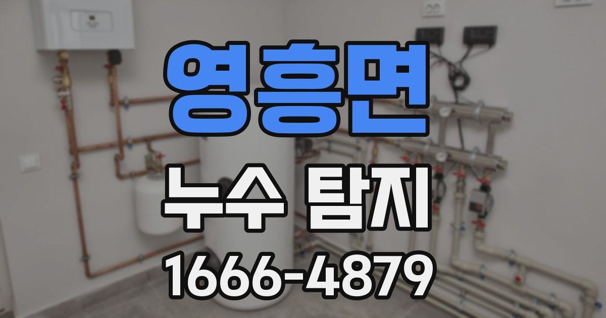 영흥면 누수 탐지