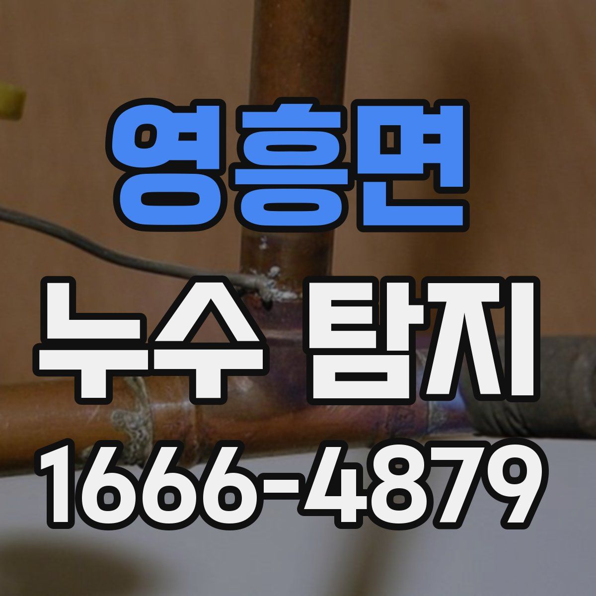 영흥면 누수 탐지