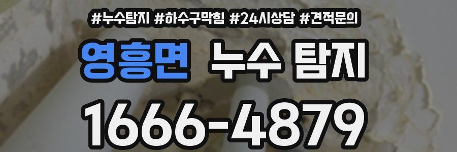영흥면 누수 탐지