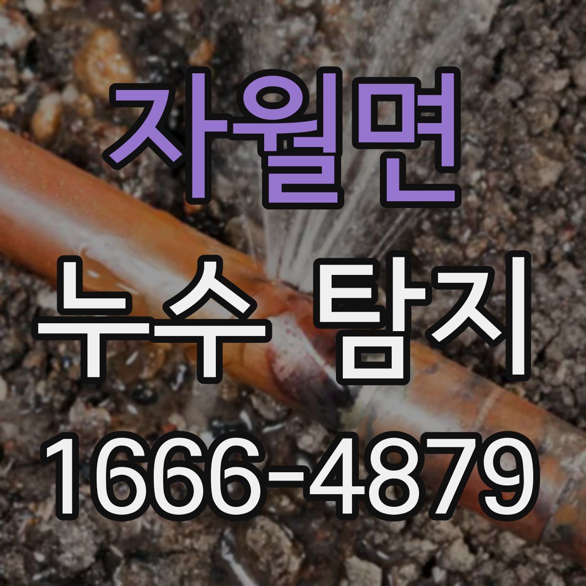 자월면 누수 탐지