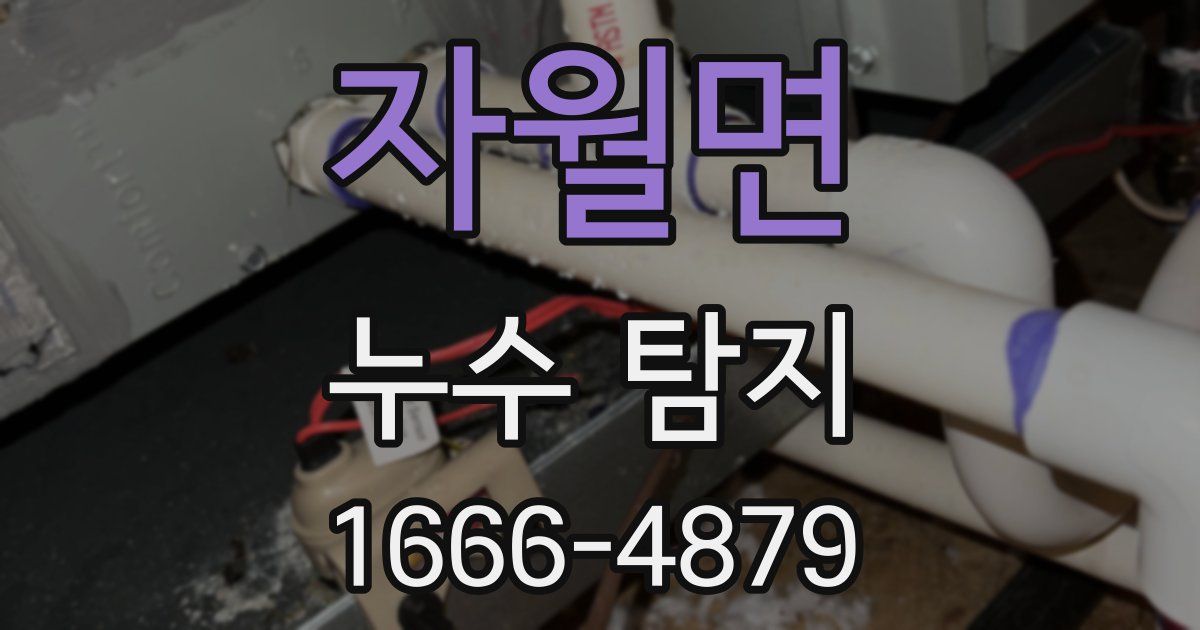 자월면 누수 탐지
