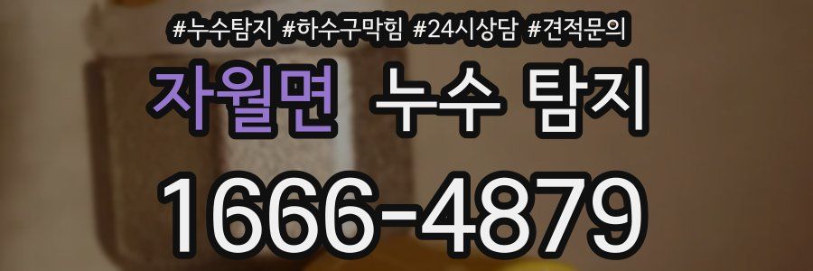 자월면 누수 탐지