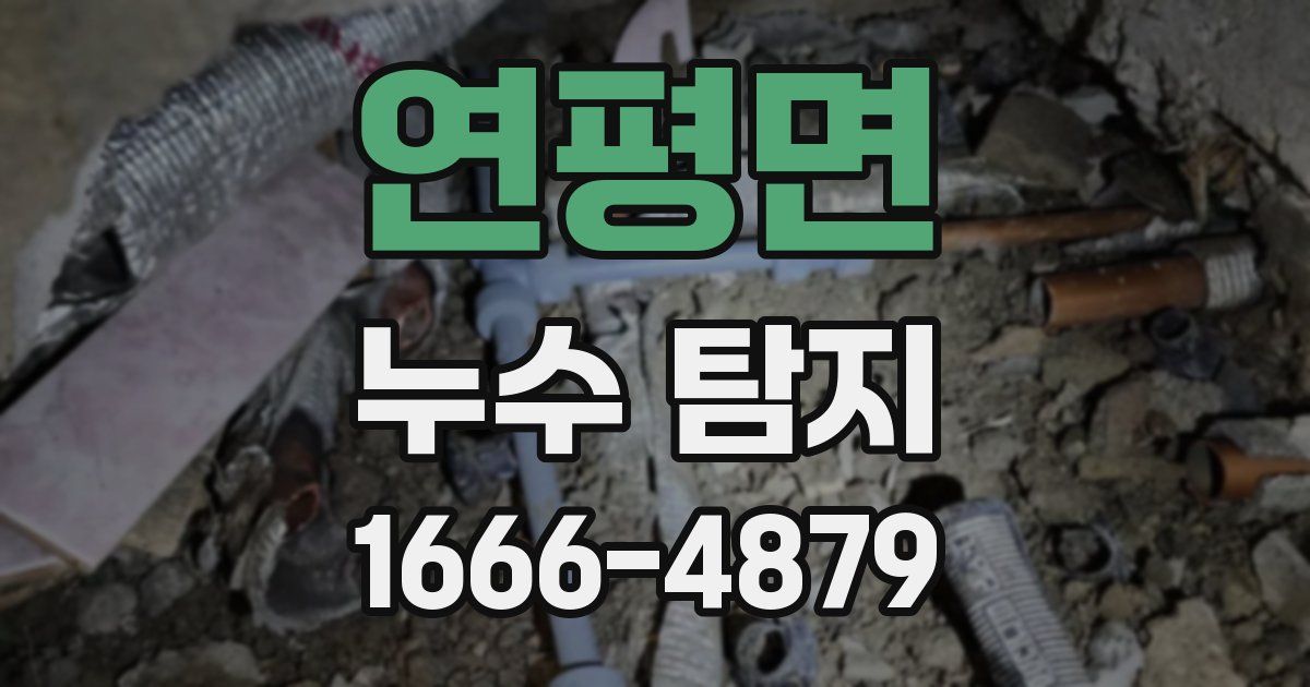 연평면 누수 탐지
