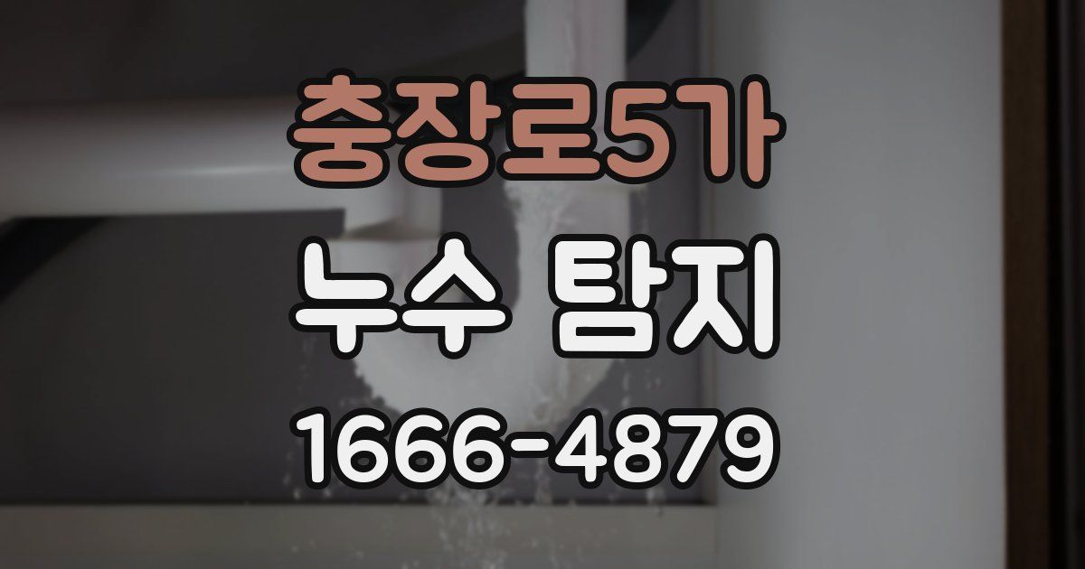 충장로5가 누수 탐지