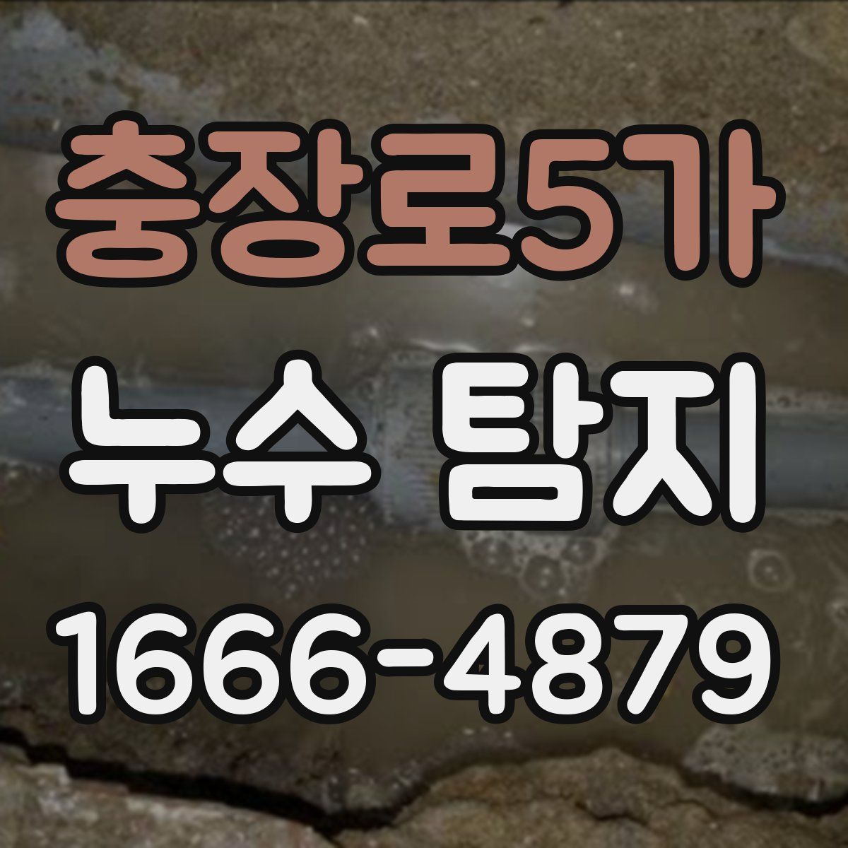 충장로5가 누수 탐지