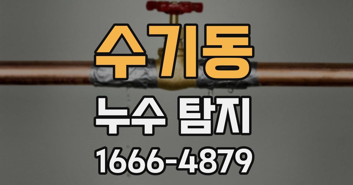 수기동 누수 탐지