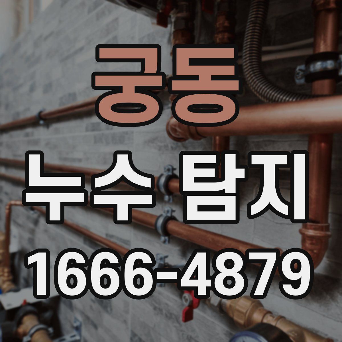 궁동 누수 탐지