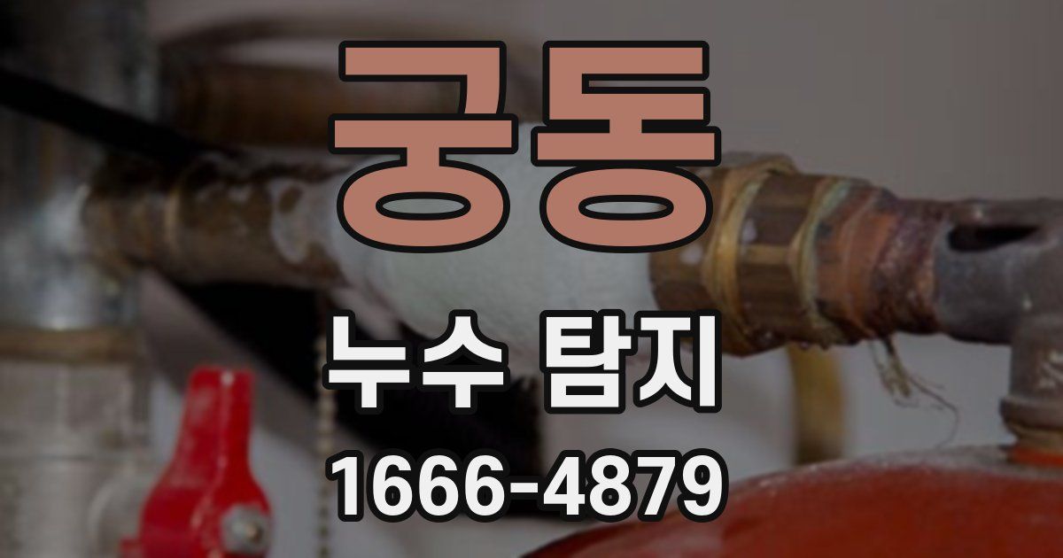 궁동 누수 탐지