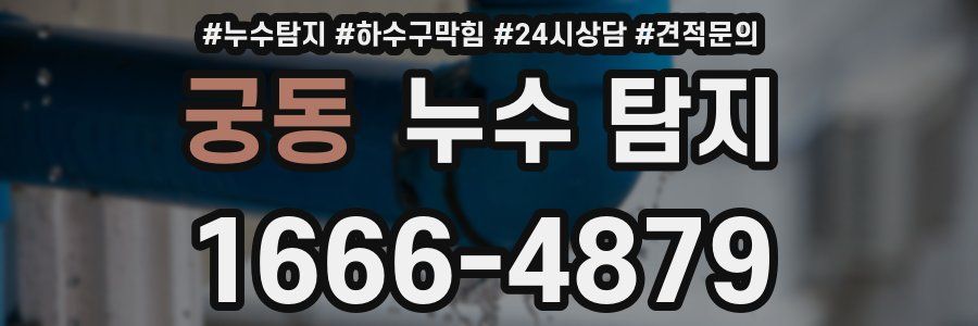 궁동 누수 탐지