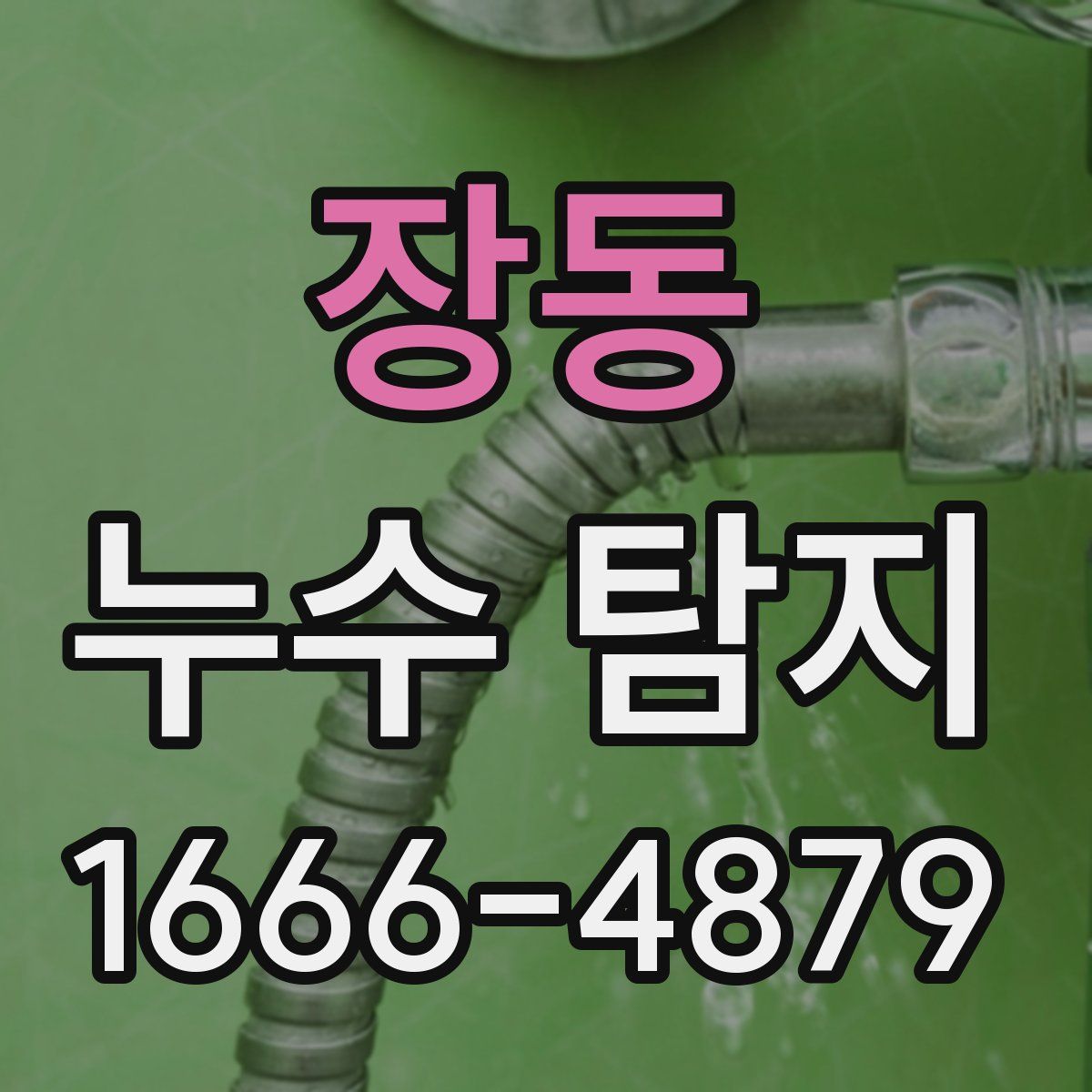 장동 누수 탐지