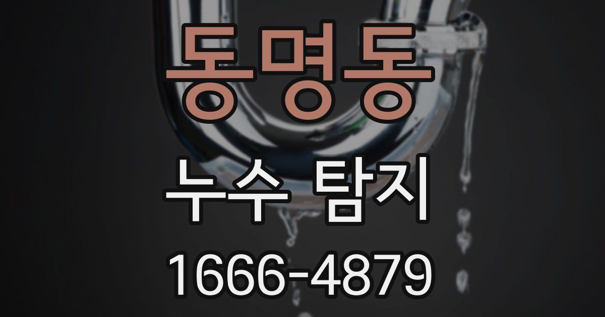 동명동 누수 탐지