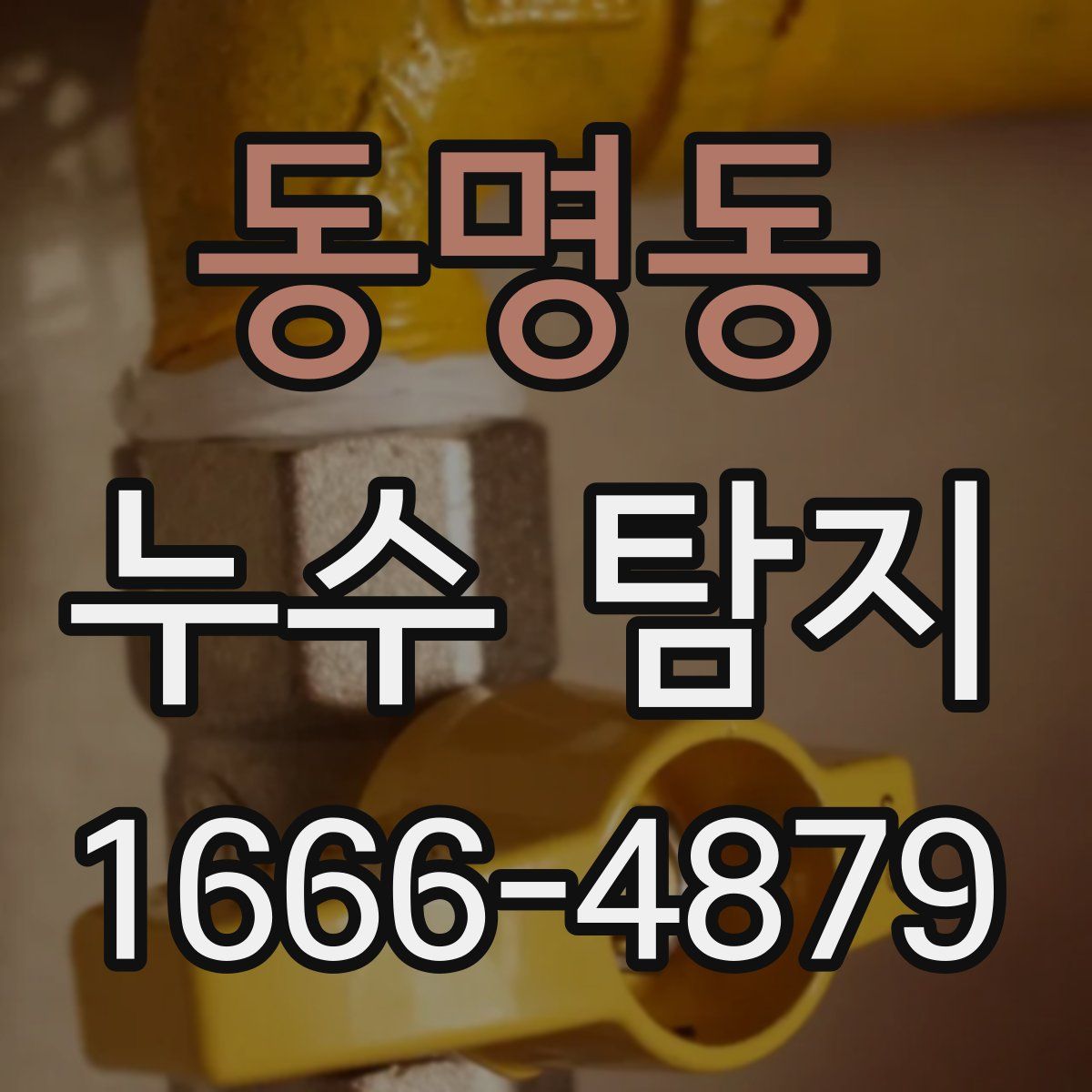동명동 누수 탐지