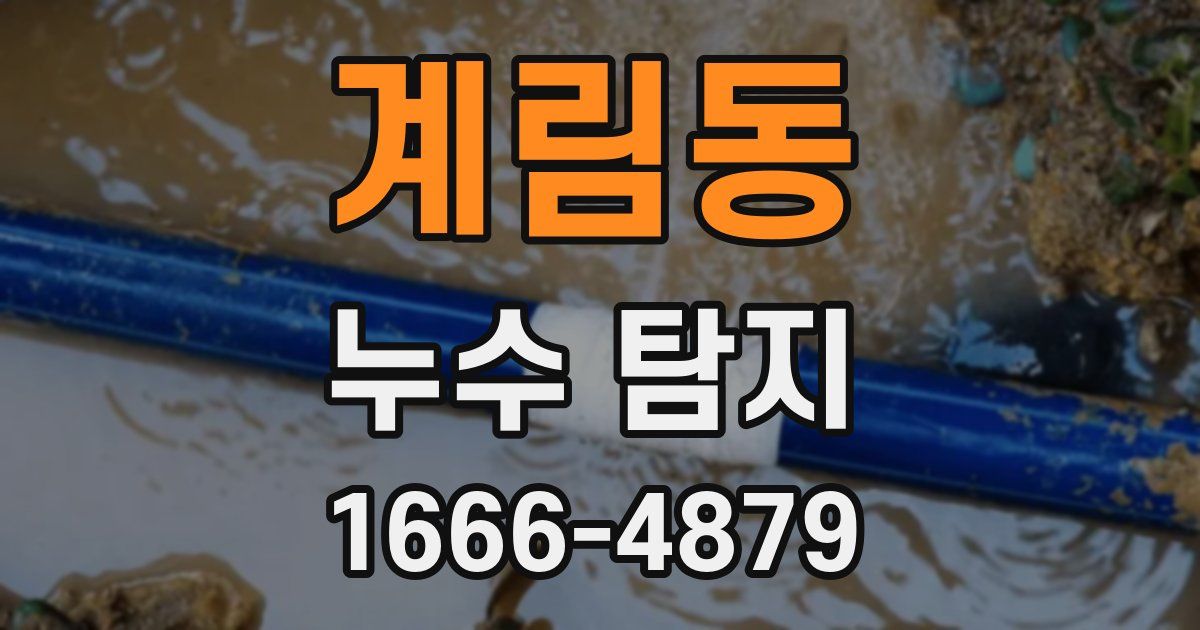계림동 누수 탐지