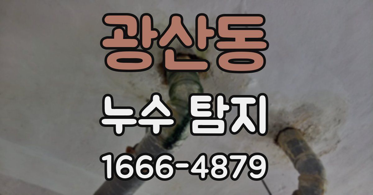 광산동 누수 탐지