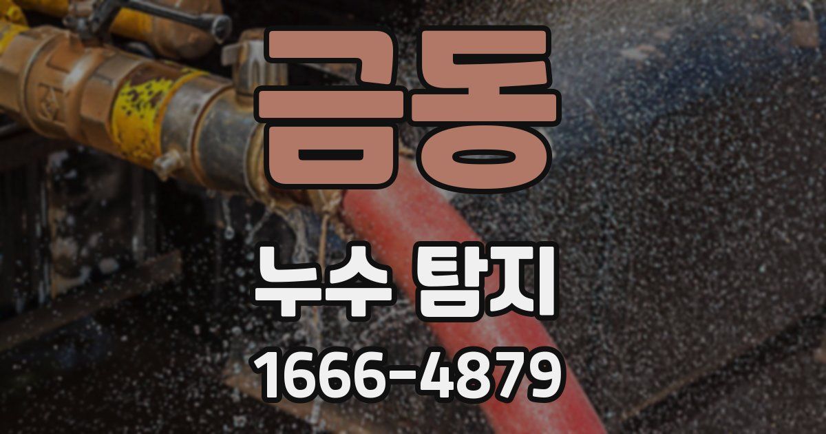 금동 누수 탐지