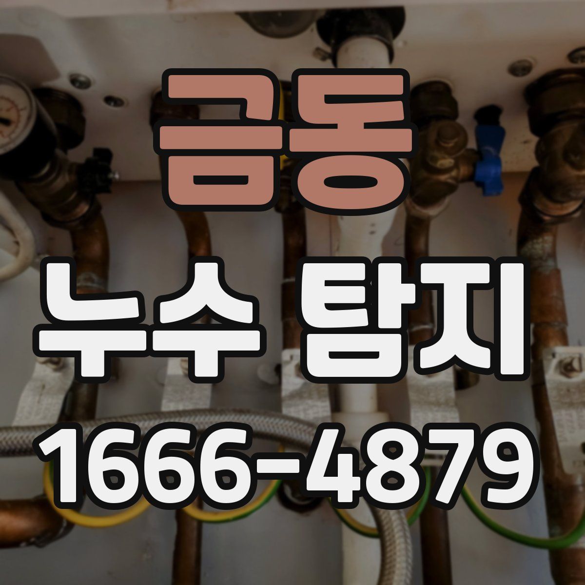 금동 누수 탐지
