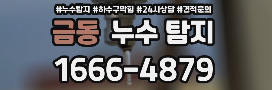 금동 누수 탐지