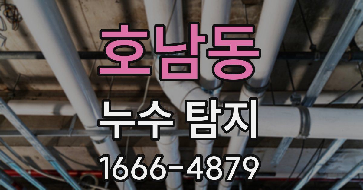 호남동 누수 탐지