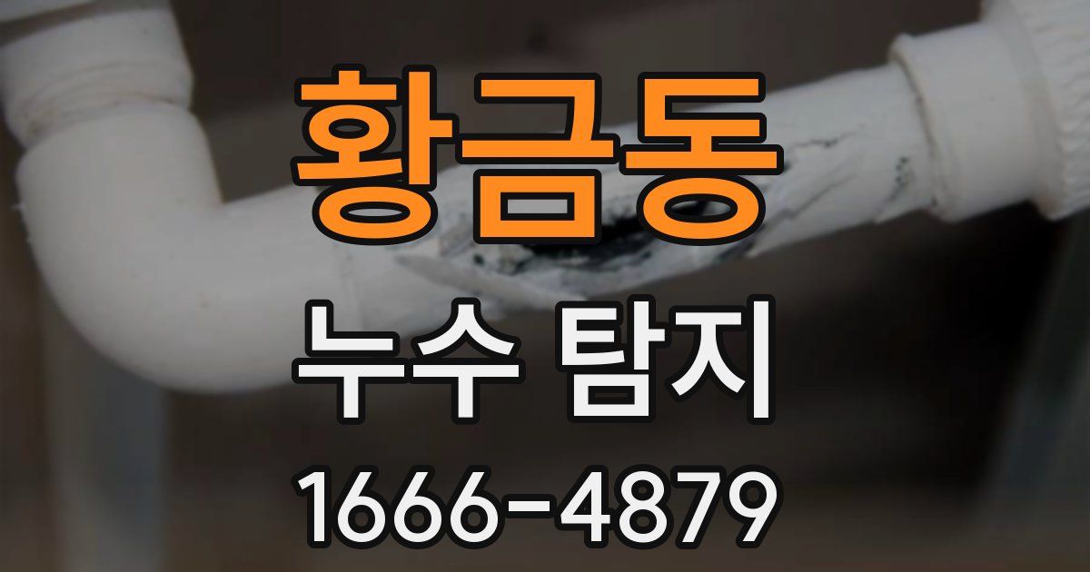 황금동 누수 탐지