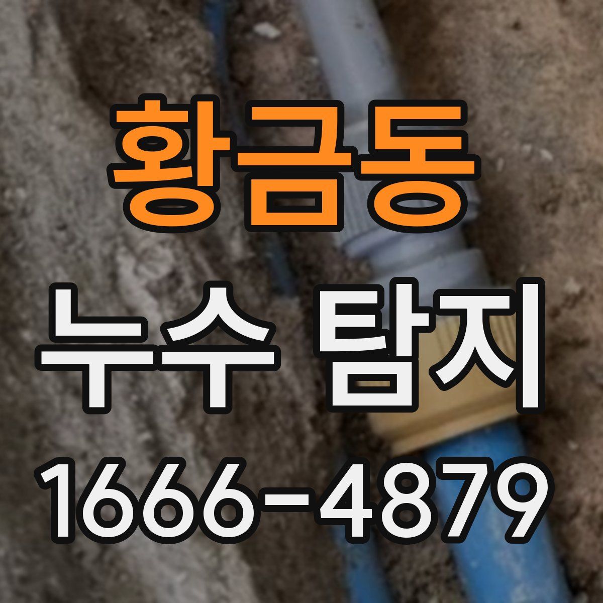 황금동 누수 탐지