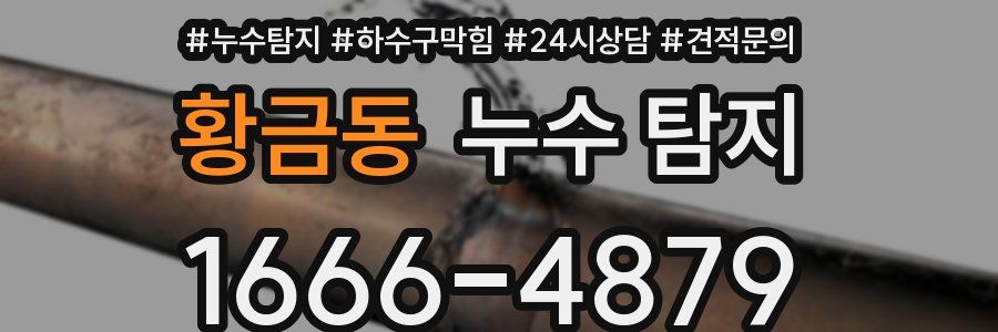 황금동 누수 탐지