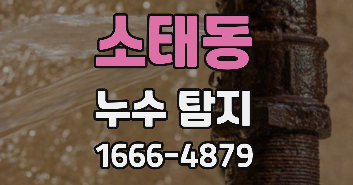 소태동 누수 탐지