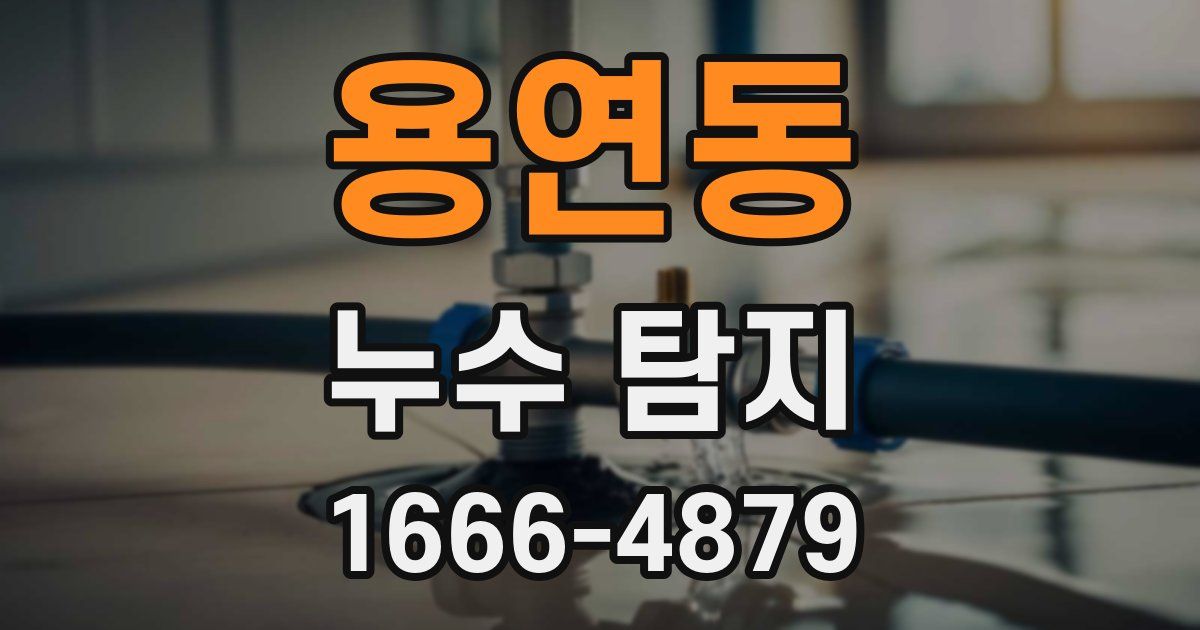 용연동 누수 탐지
