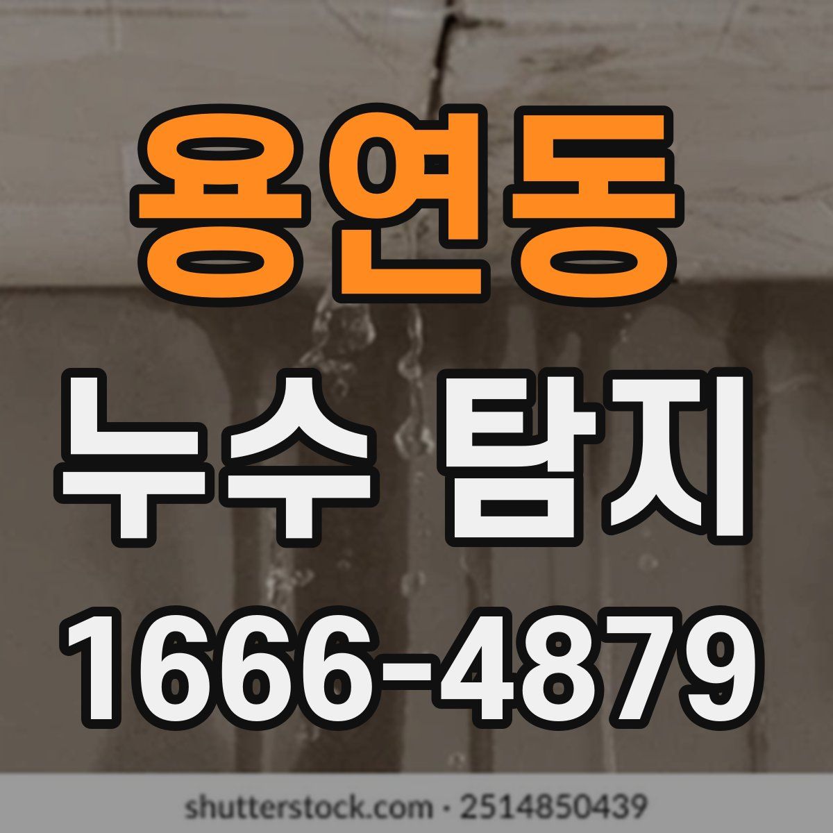 용연동 누수 탐지