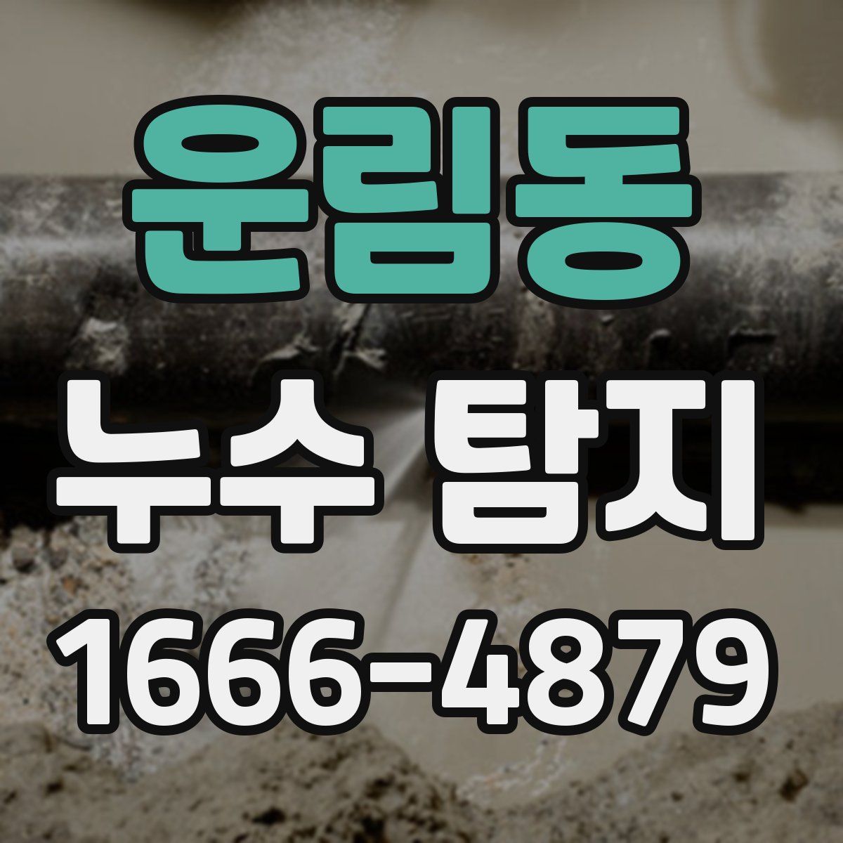 운림동 누수 탐지