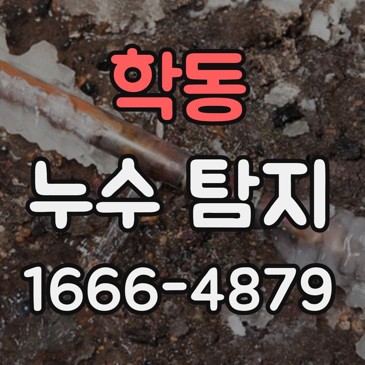 학동 누수 탐지