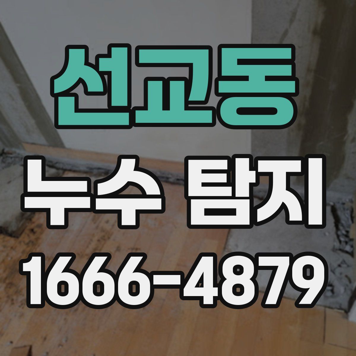 선교동 누수 탐지