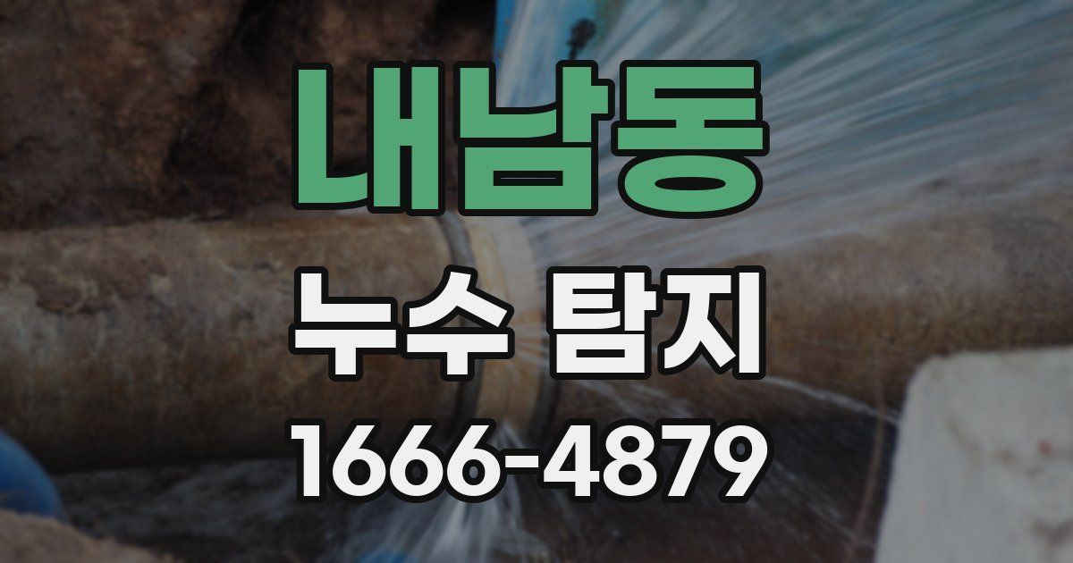 내남동 누수 탐지