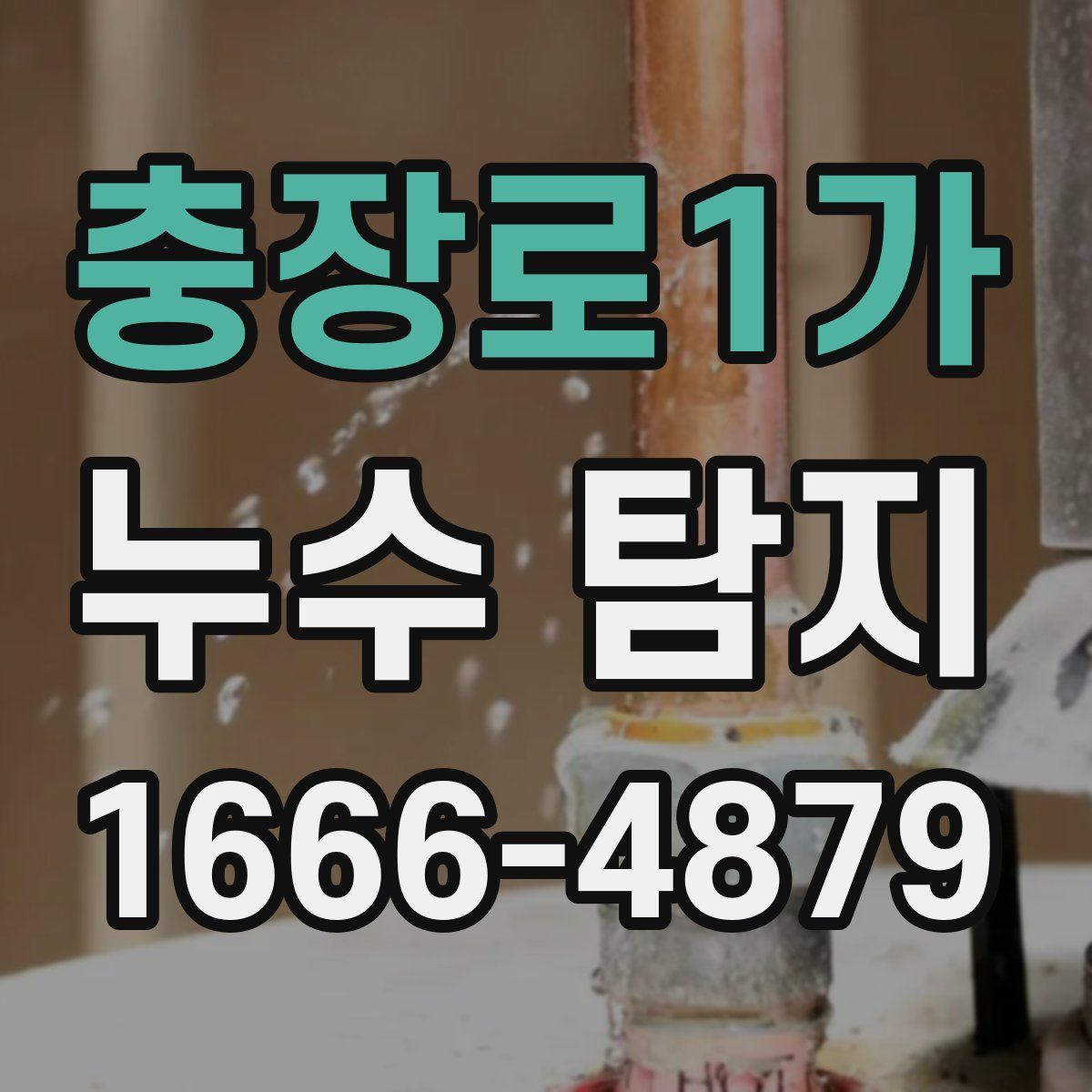 충장로1가 누수 탐지