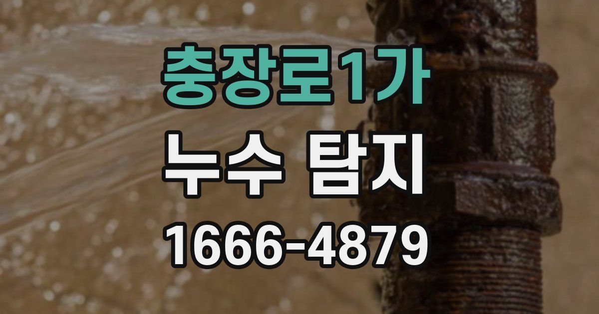충장로1가 누수 탐지