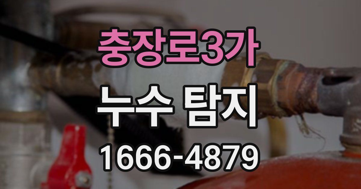 충장로3가 누수 탐지