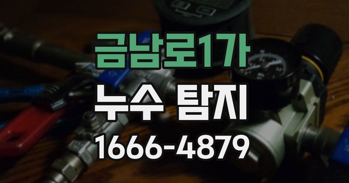 금남로1가 누수 탐지