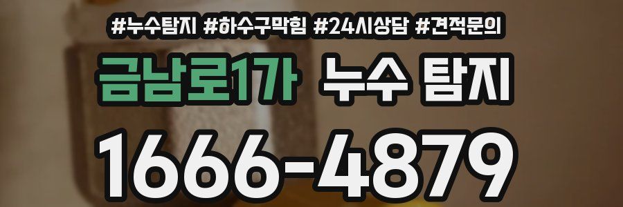 금남로1가 누수 탐지