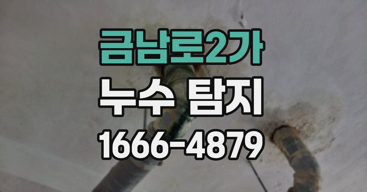 금남로2가 누수 탐지