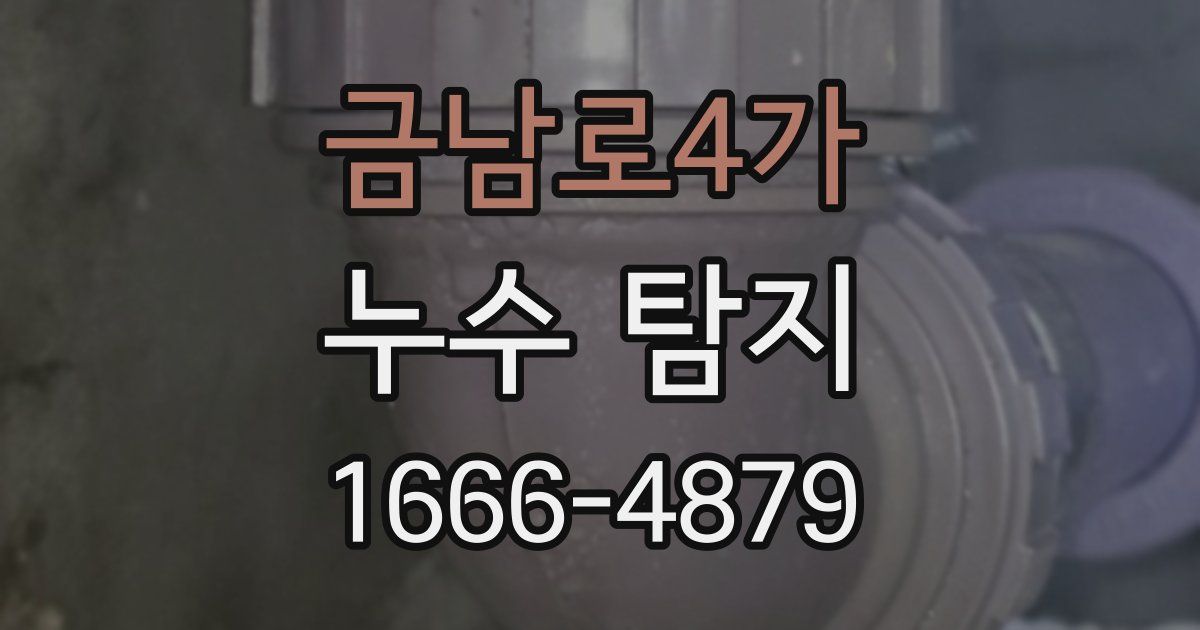 금남로4가 누수 탐지