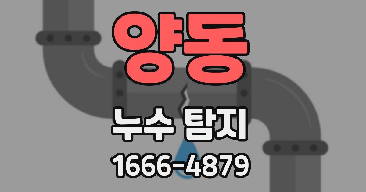 양동 누수 탐지