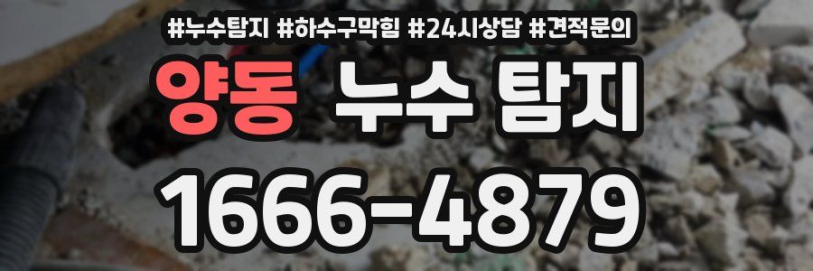 양동 누수 탐지