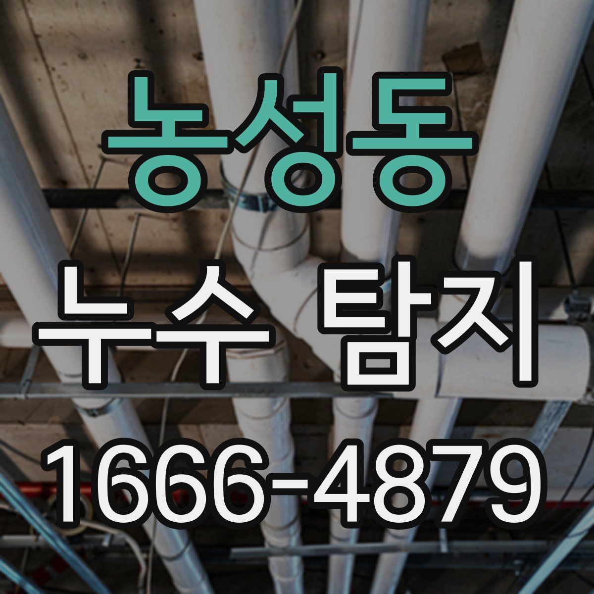 농성동 누수 탐지