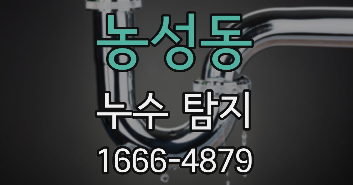 농성동 누수 탐지
