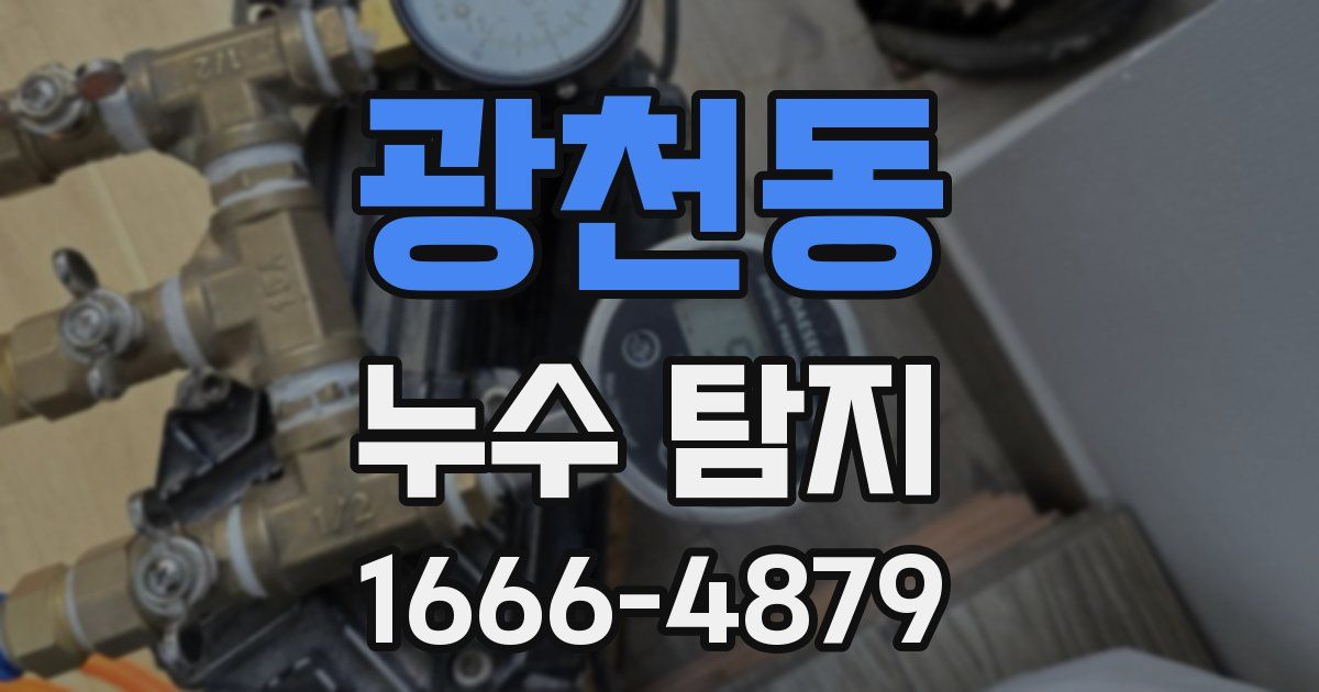 광천동 누수 탐지