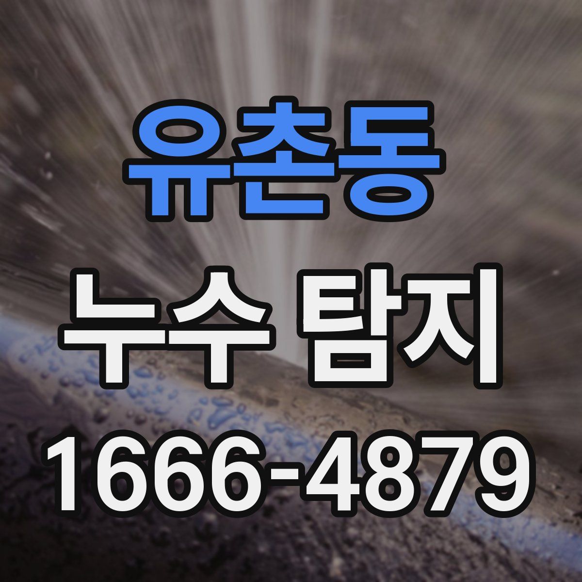 유촌동 누수 탐지