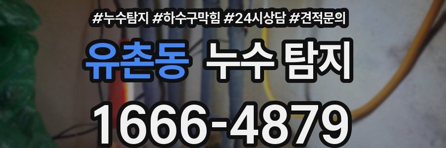 유촌동 누수 탐지