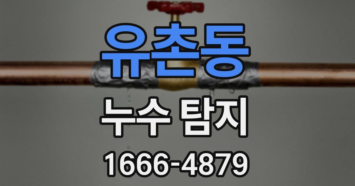 유촌동 누수 탐지