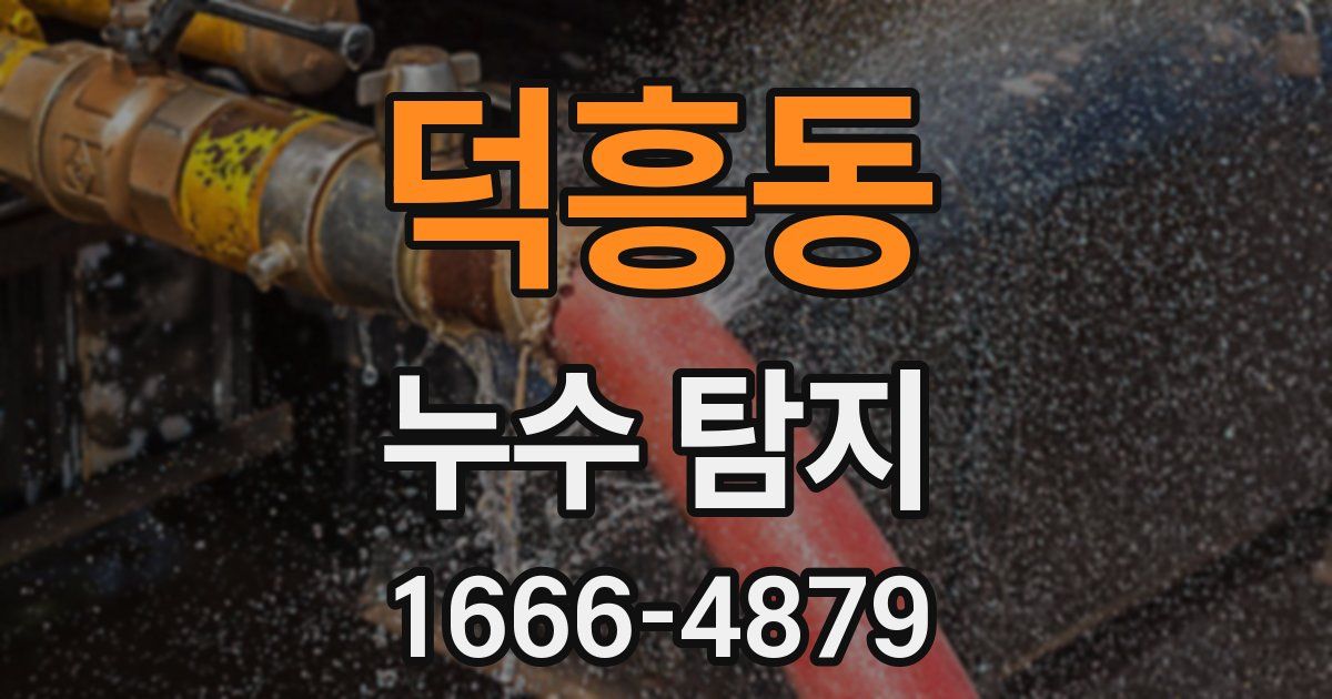 덕흥동 누수 탐지