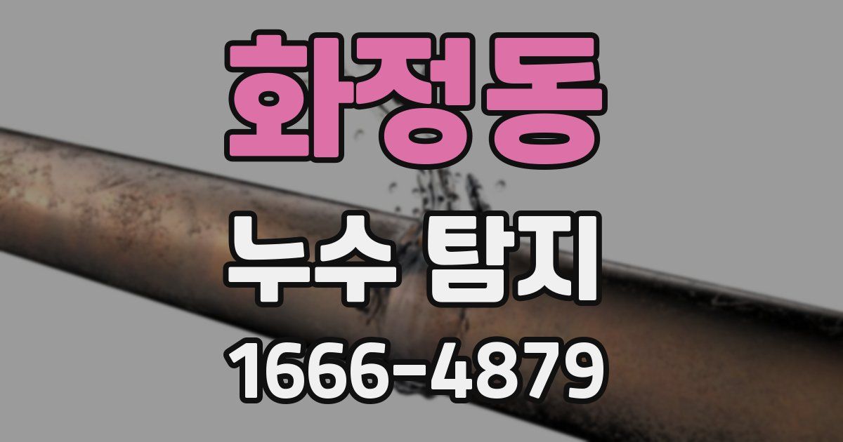 화정동 누수 탐지